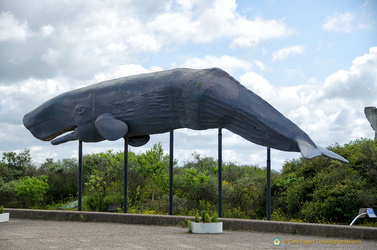 Model of a sperm whale, known for its enormous head